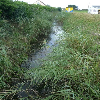 Les W C du personnel du cirque sont install�s pr�s de la rivi�re