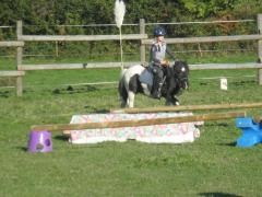 L'équitation accessible à tous