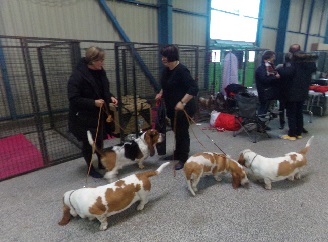 Derniers préparatifs avant de monter sur le ring Derniers préparatifs avant de monter sur le ring