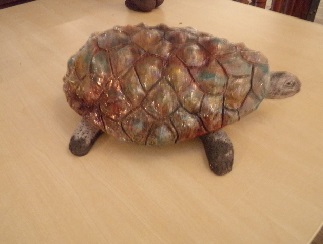Une tortue émaillée plus vraie que nature Une tortue émaillée plus vraie que nature