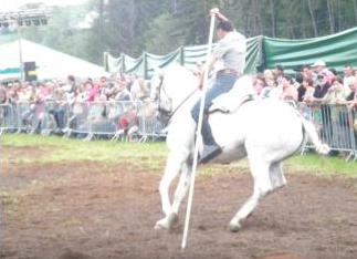 Quand une fête traditionnelle se transforme en festival équestre